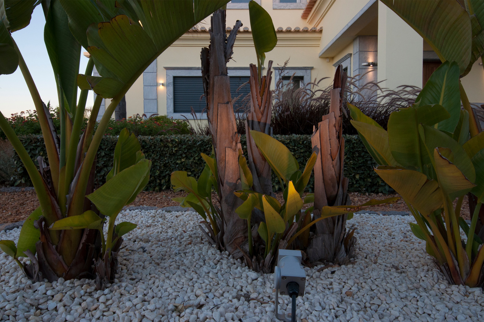 Algarve Garden 