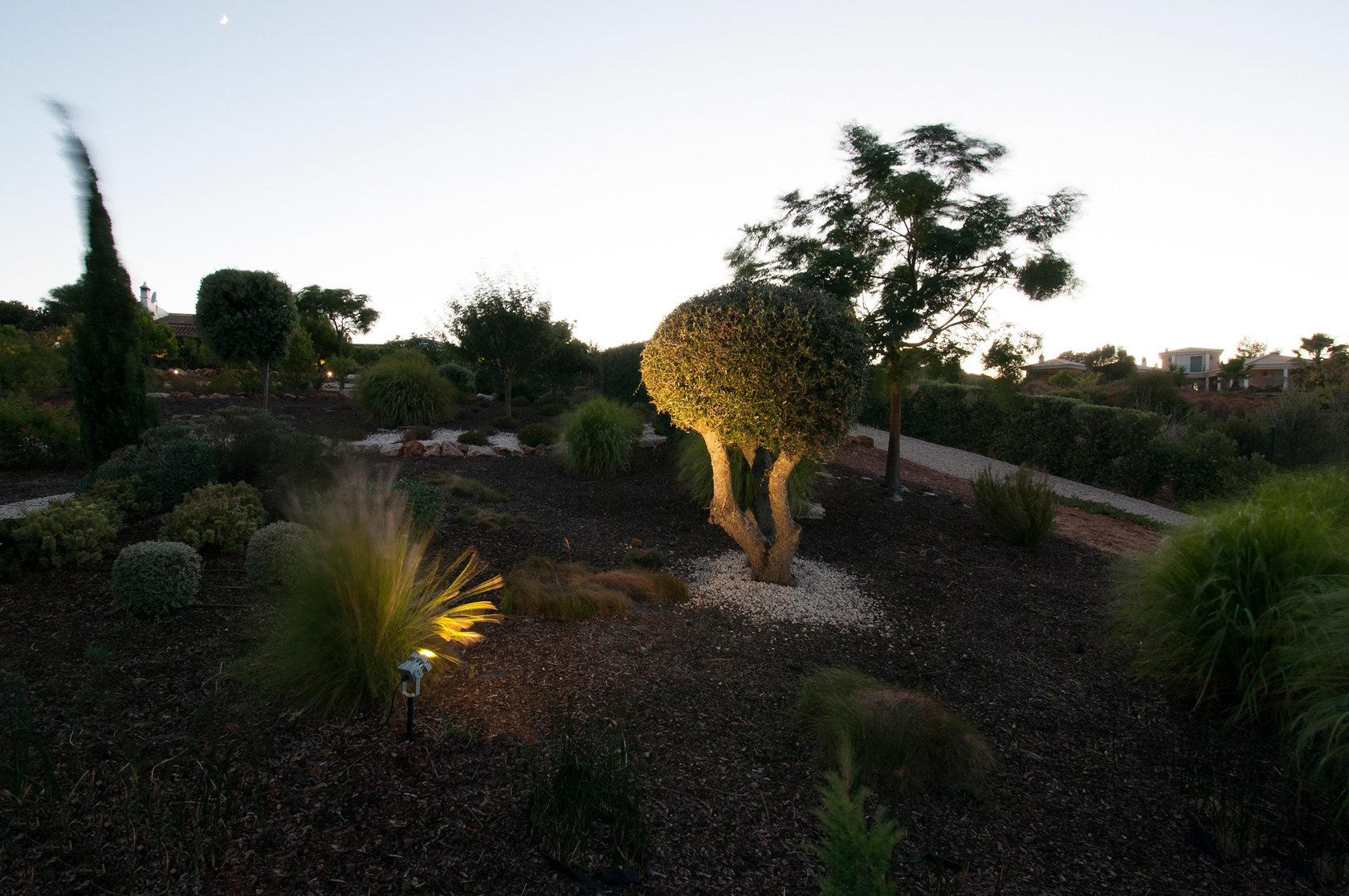 Algarve Garden 
