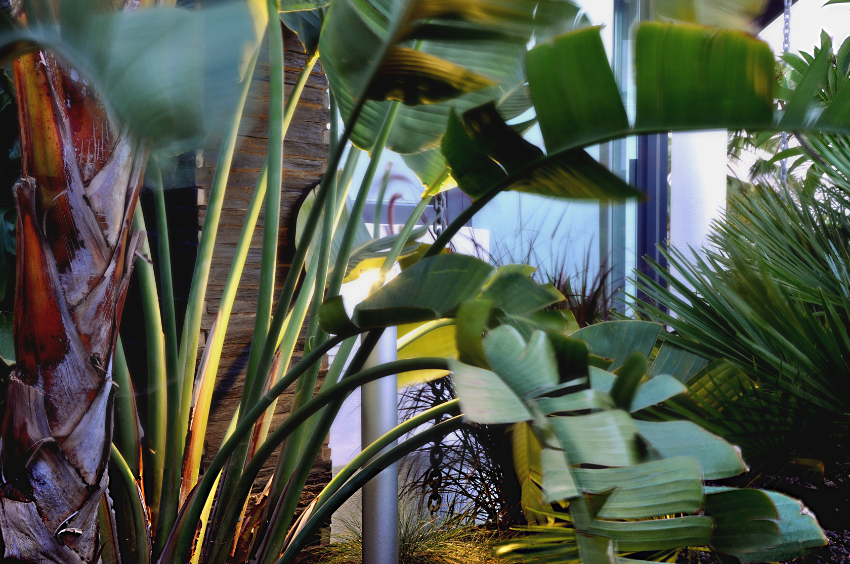 Exotic Garden 