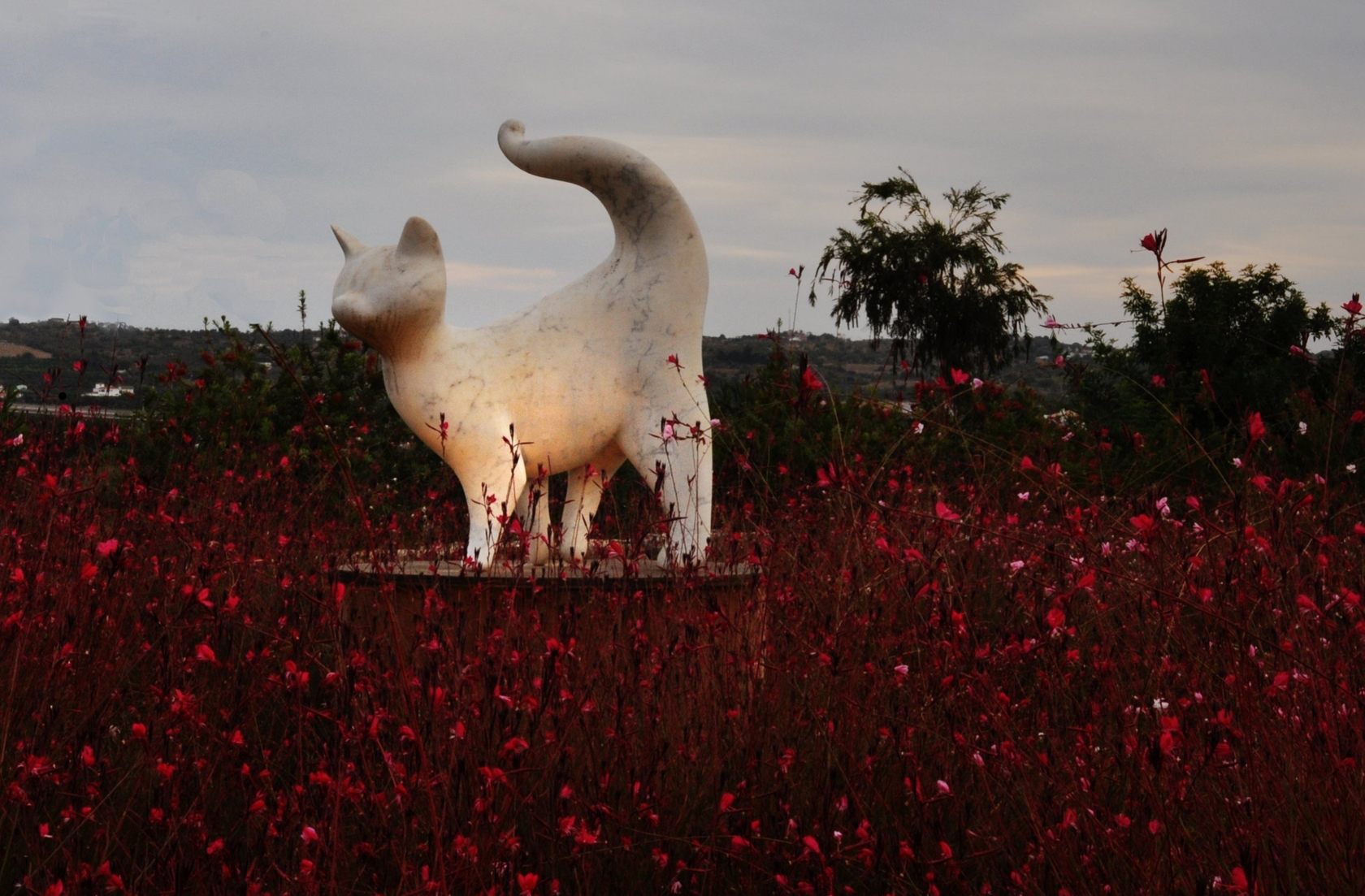 Art Garden 
