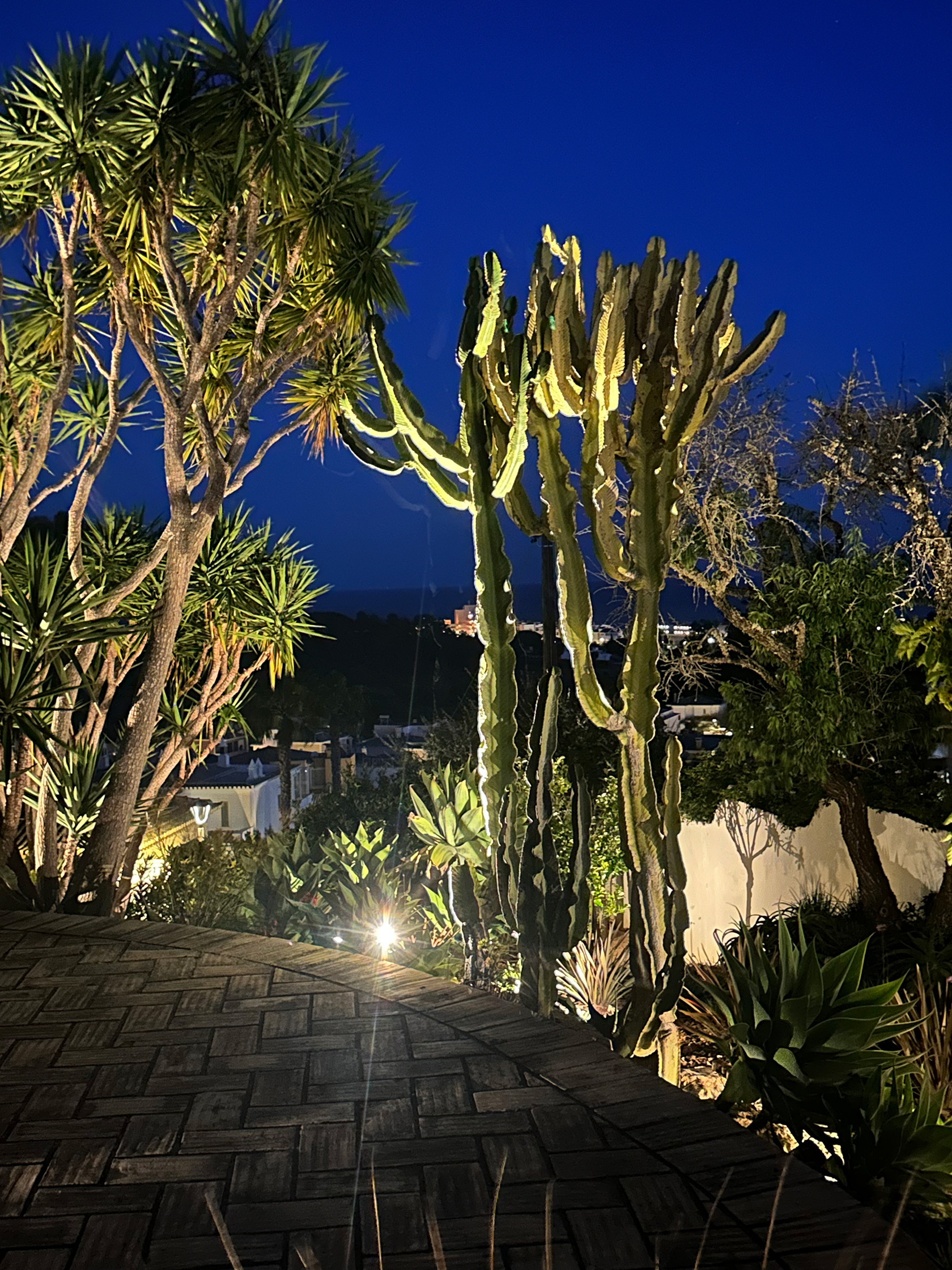 Casa Monte